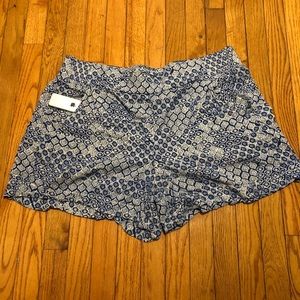 Lane Bryant Shorts